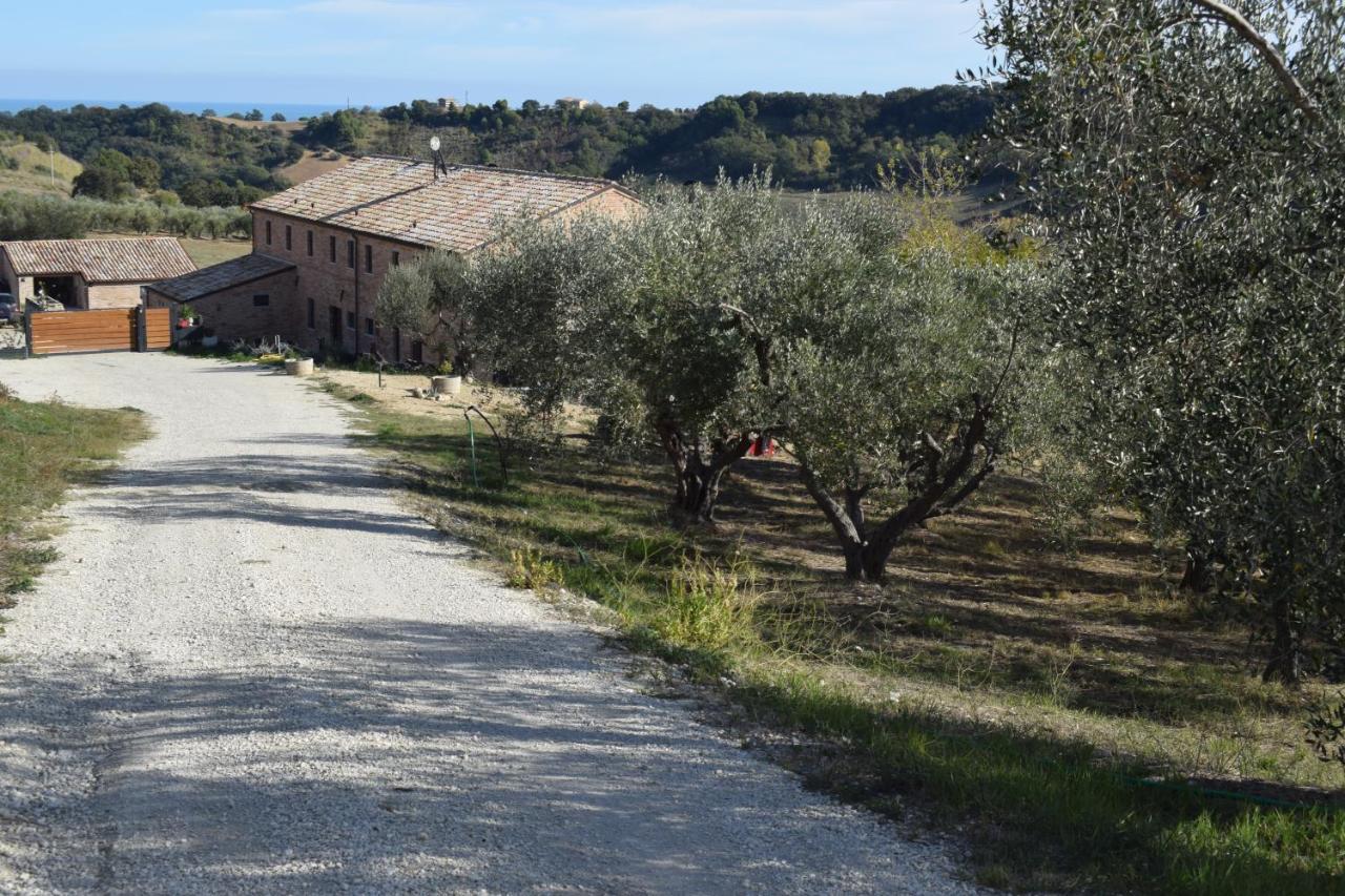Monna Terra B&B Fermo Exterior photo