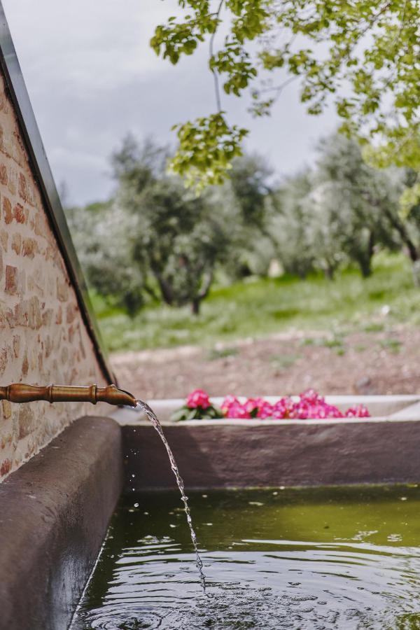 Monna Terra B&B Fermo Exterior photo